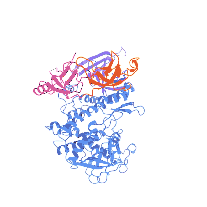 Animated GIF of Dis3L2 changing shape