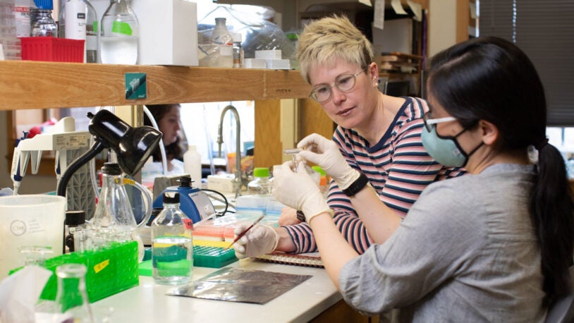 Image of Tollkuhn in lab with student