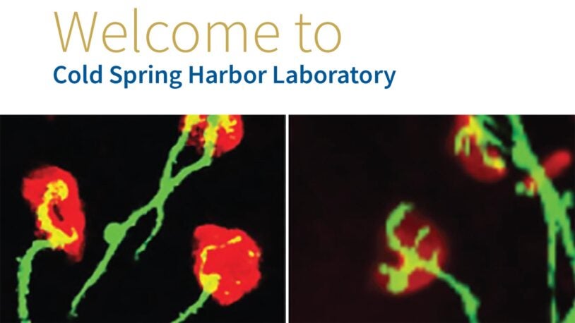 image of the CSHL tour guide booklet cover