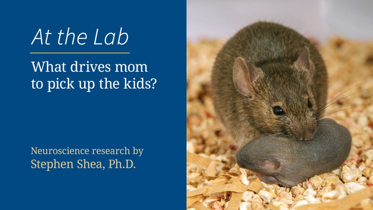 Image of At The Lab What drives mom to pick up the kids?
