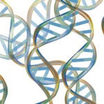 illustration of overlapping DNA strands