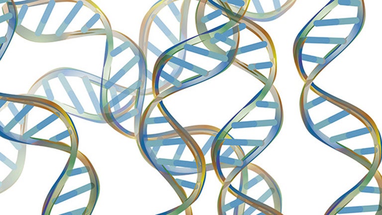 illustration of overlapping DNA strands