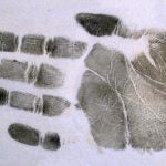 image of a handprint