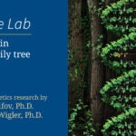 Image of At the lab Autism in the family tree