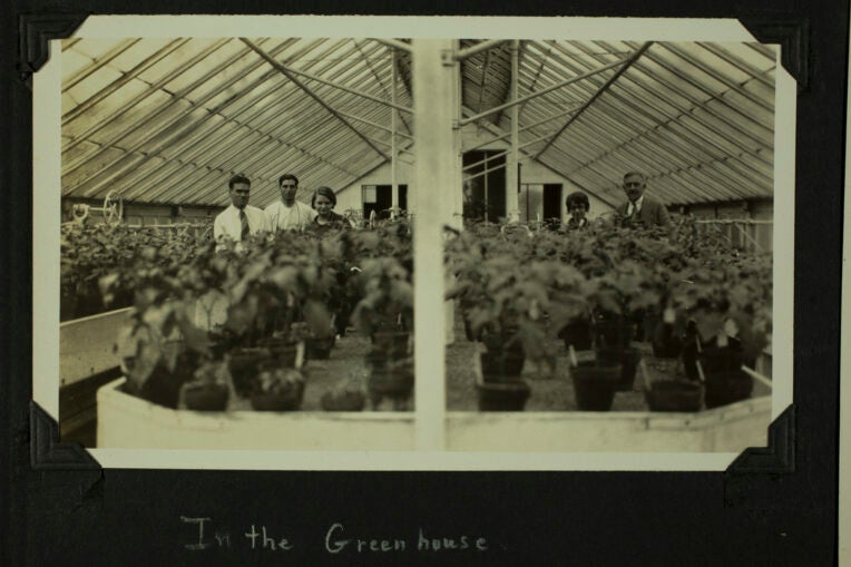 1920s photograph of scientists in a greenhouse