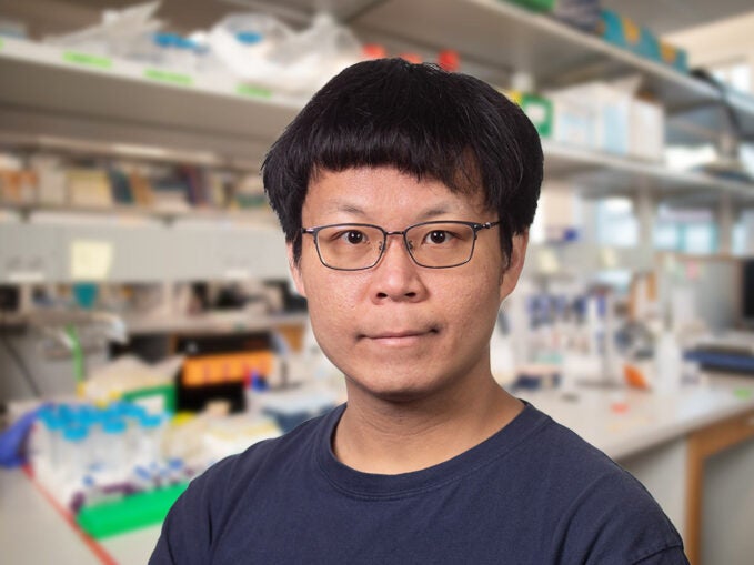 image of CSHL postdoc Der-Shyang Kao