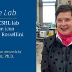 Image of At the Lab Tour a CSHL lab with film icon Isabella Rossellini