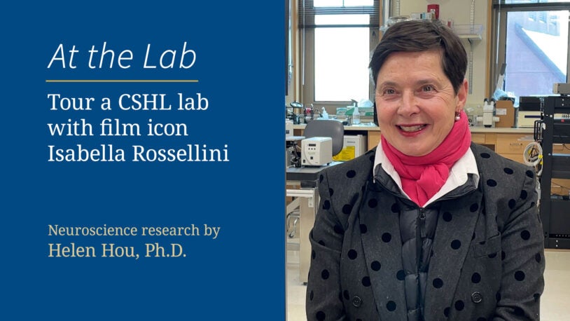 Image of At the Lab Tour a CSHL lab with film icon Isabella Rossellini