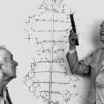 image of Francis Crick and James Watson with a DNA structure