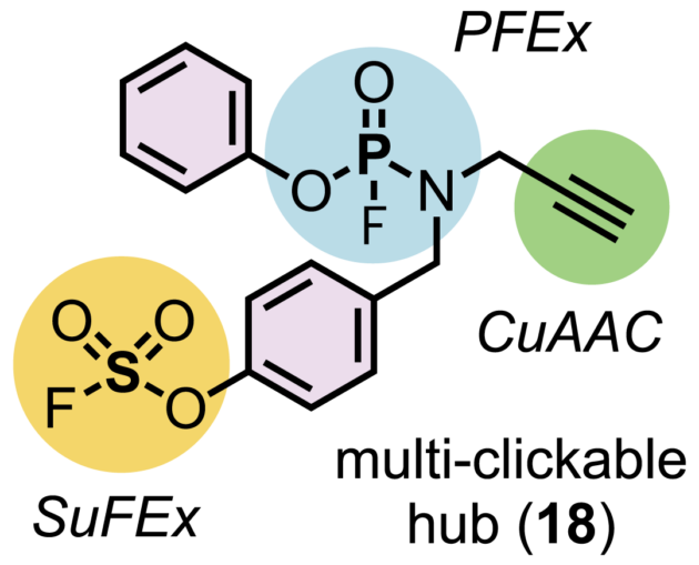 Illustration of PFEx click chemistry bonds