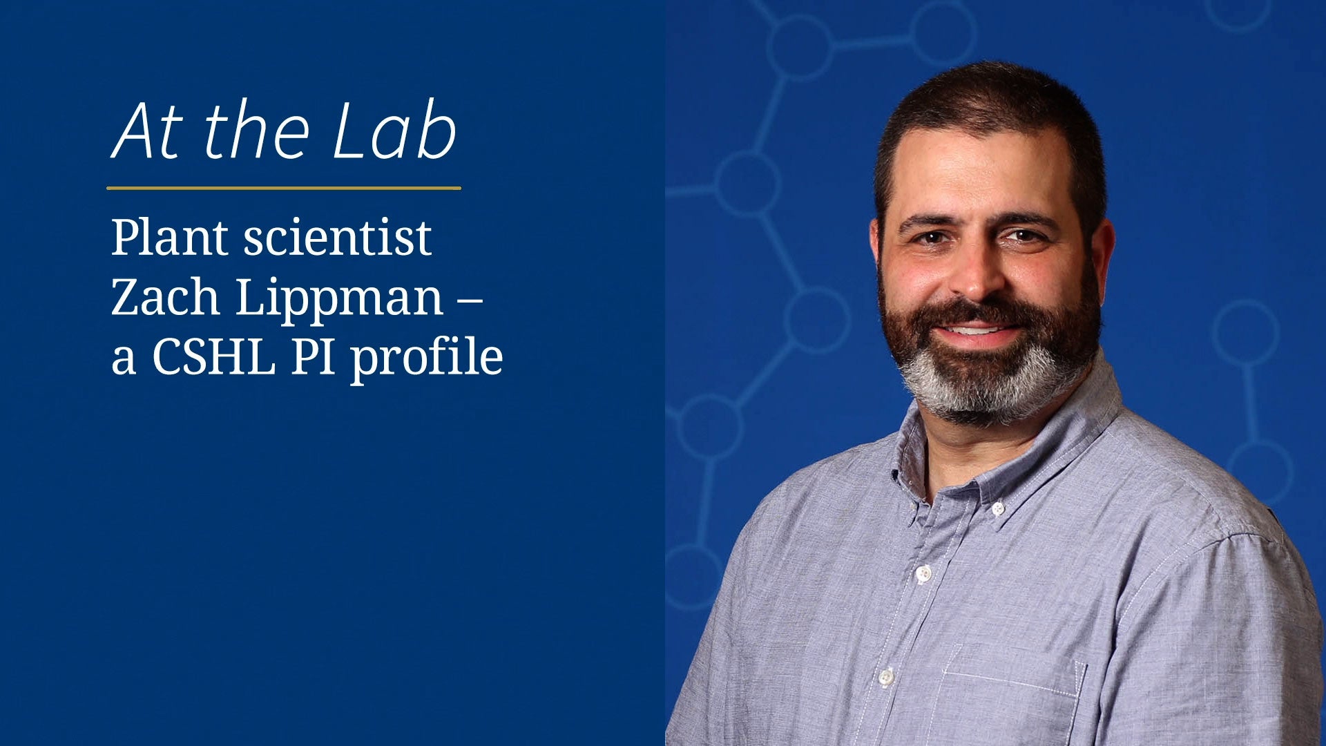 Plant scientist Zach Lippman a CSHL PI profile Cold Spring Harbor