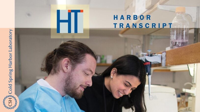 Summer 2023 <em>Harbor Transcript</em> now online