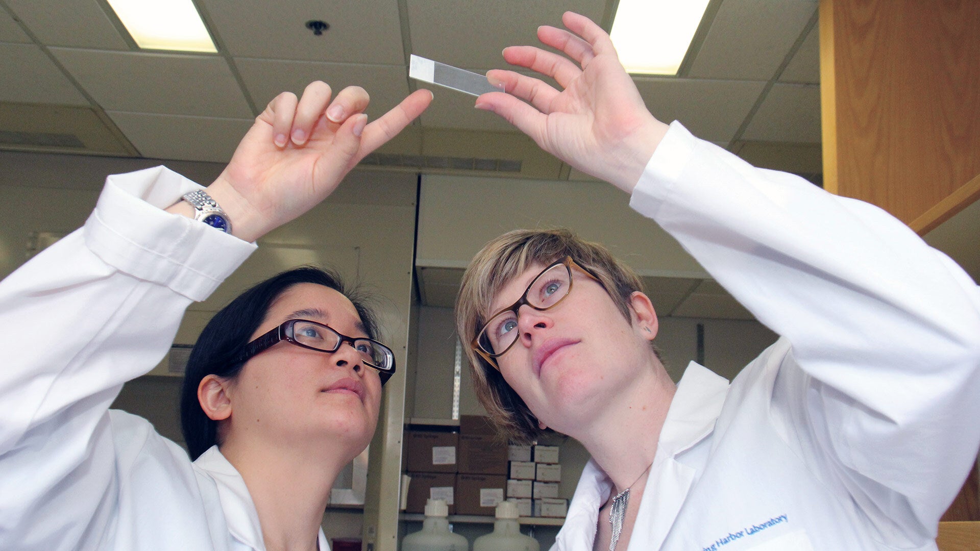 Photo of Jessica Tollkuhn with lab assistant