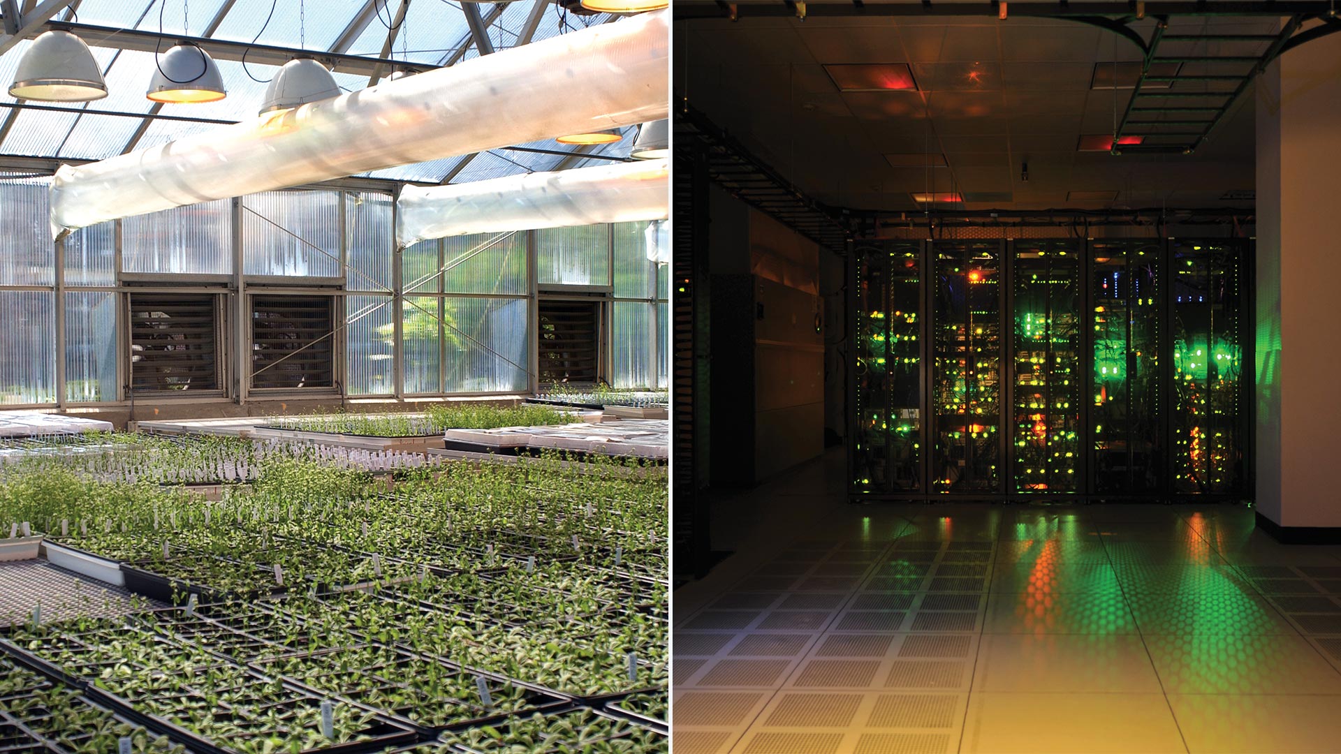 Photos of the Uplands Farm greenhouse and computer storage systems