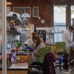 Photo of researchers in Jones Lab