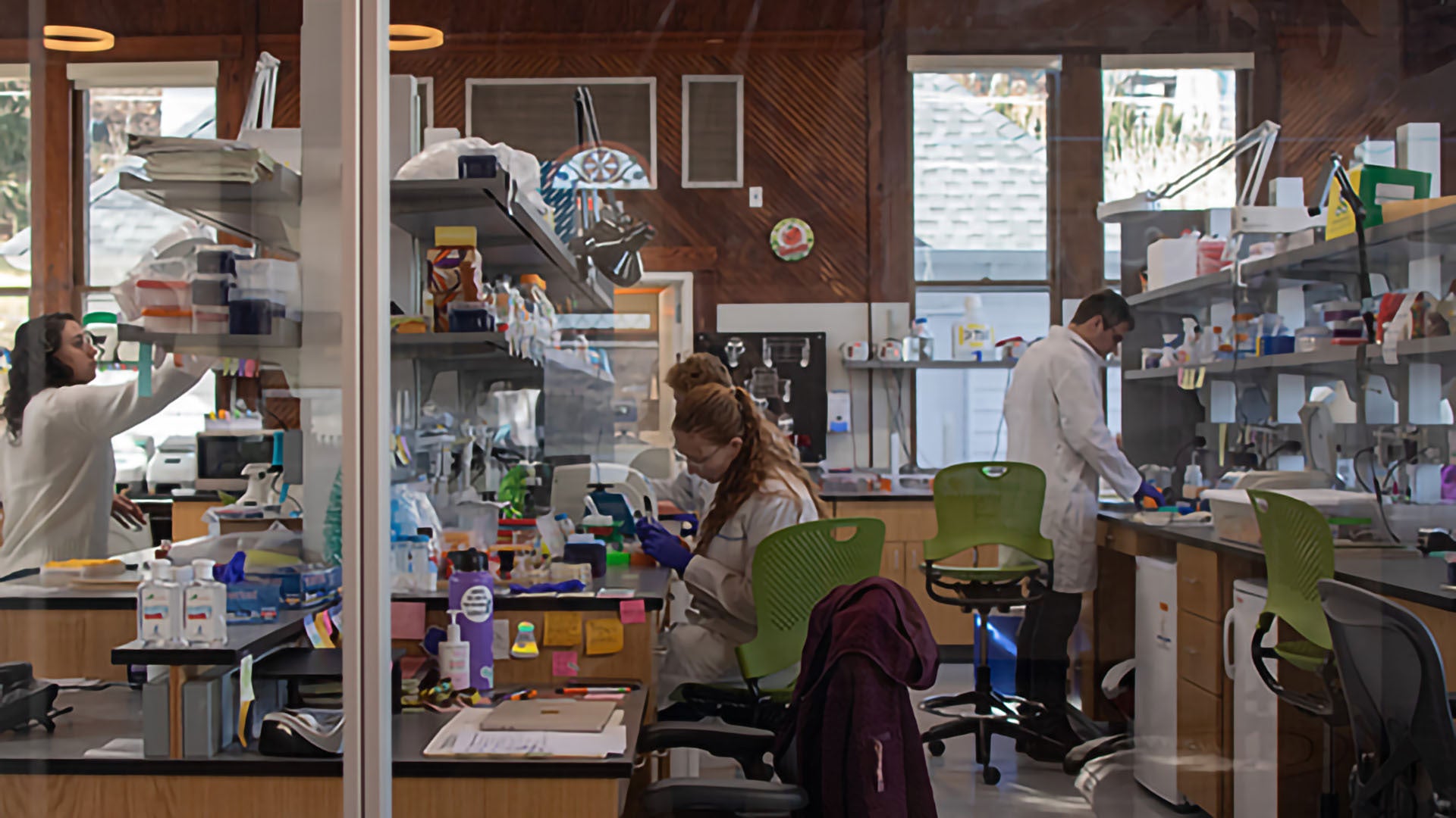 Photo of researchers in Jones Lab