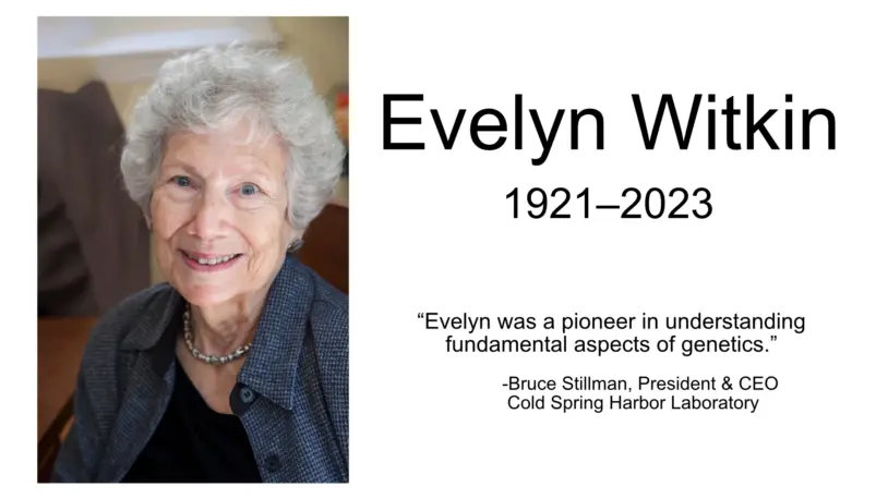 Evelyn Witkin, 1921-2023