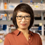 image of CSHL Adunct Assistant Professor Zhen Zhao