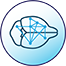 Neuroimaging and Behavior icon