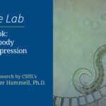 First look whole-body gene expression