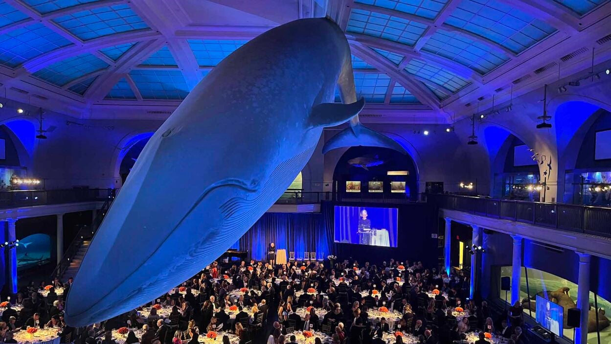 Photo of the Double Helix Medals Dinner under a blue whale model