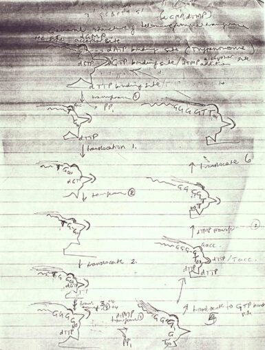 Photo of sketches in Carol Greider's lab notebook