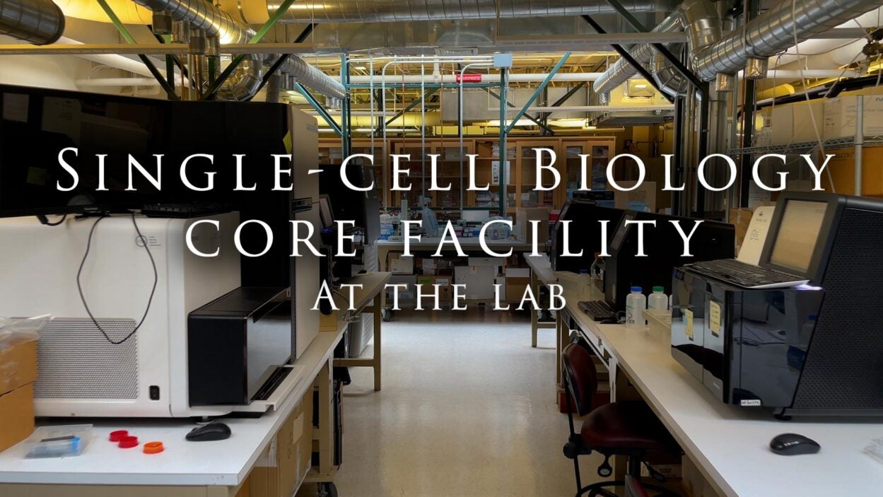 Image of the Single-cell Biology Core Facility at the lab