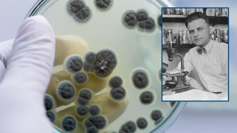 Penicillin: From limited wonder drug to worldwide lifesaver