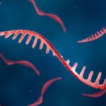 RNA splicing based therapies