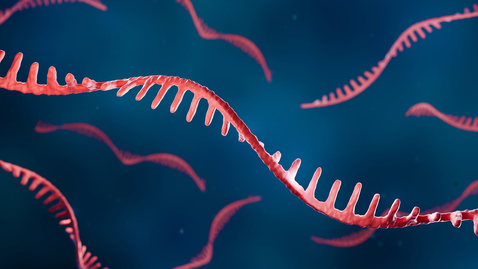 RNA splicing based therapies