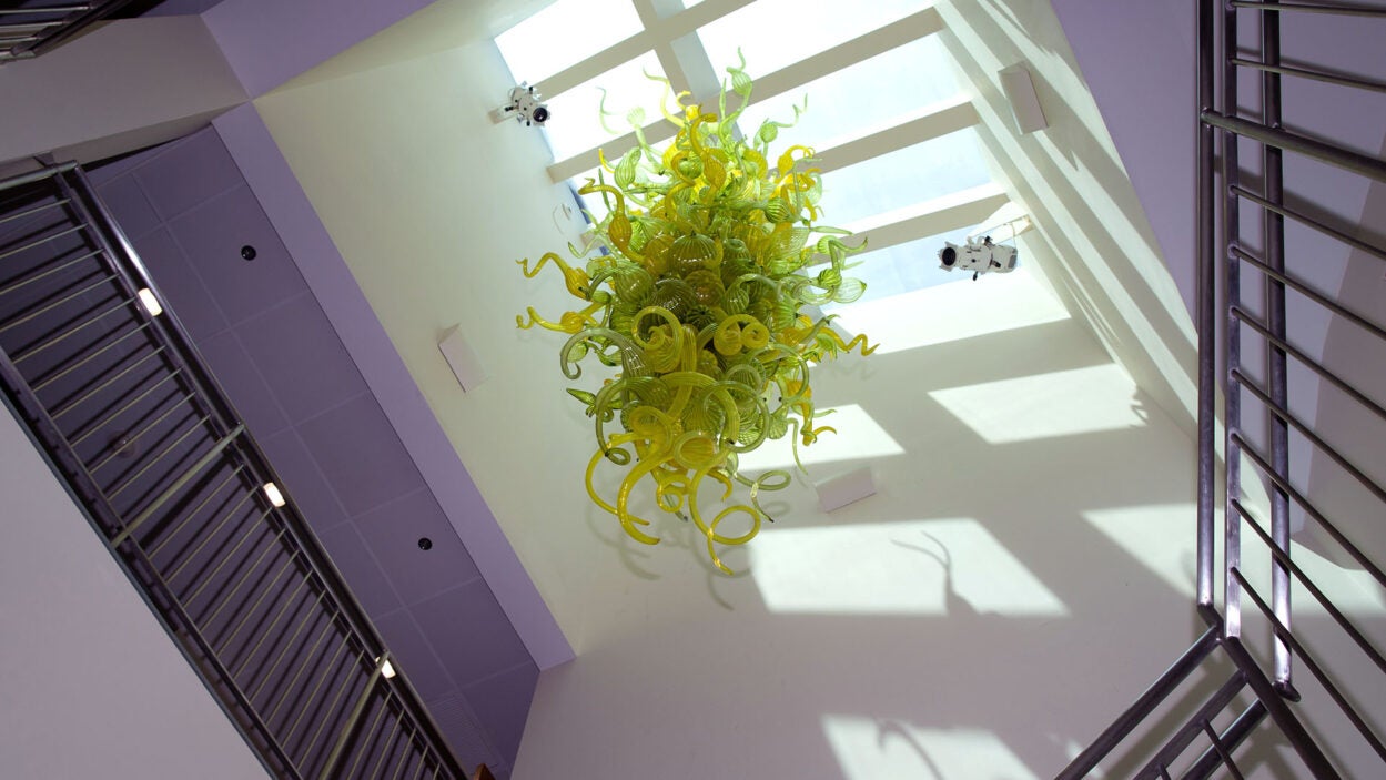 Glass art of Dale Chihuly, Twisting Dendrites Chandelier