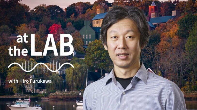 image of Cold Spring Harbor campus from across the harbor with At the Lab podcast logo and portrait of Hiro Furukawa