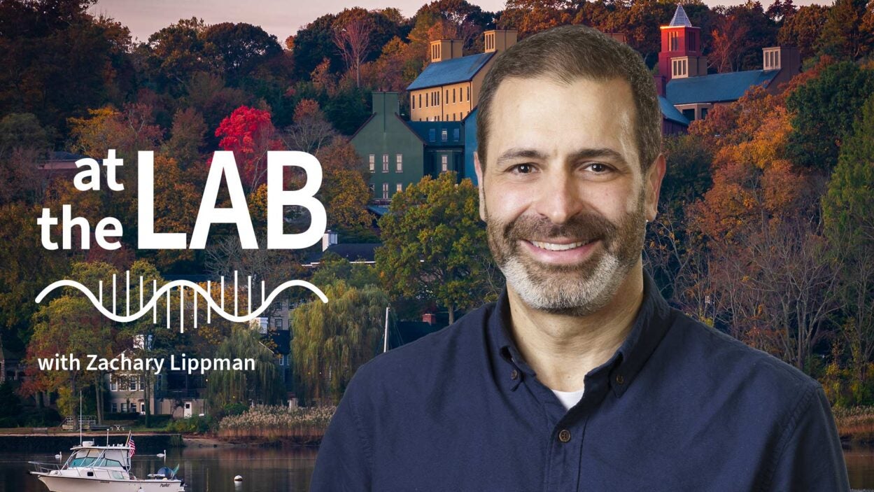 image of Cold Spring Harbor campus from across the harbor with At the Lab podcast logo and portrait of Zach Lippman