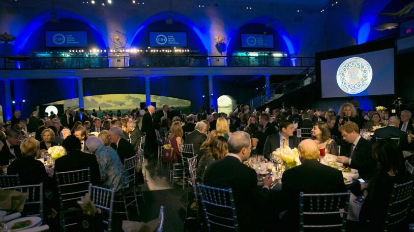 image of the dining hall at the Museum of Natural History Museum