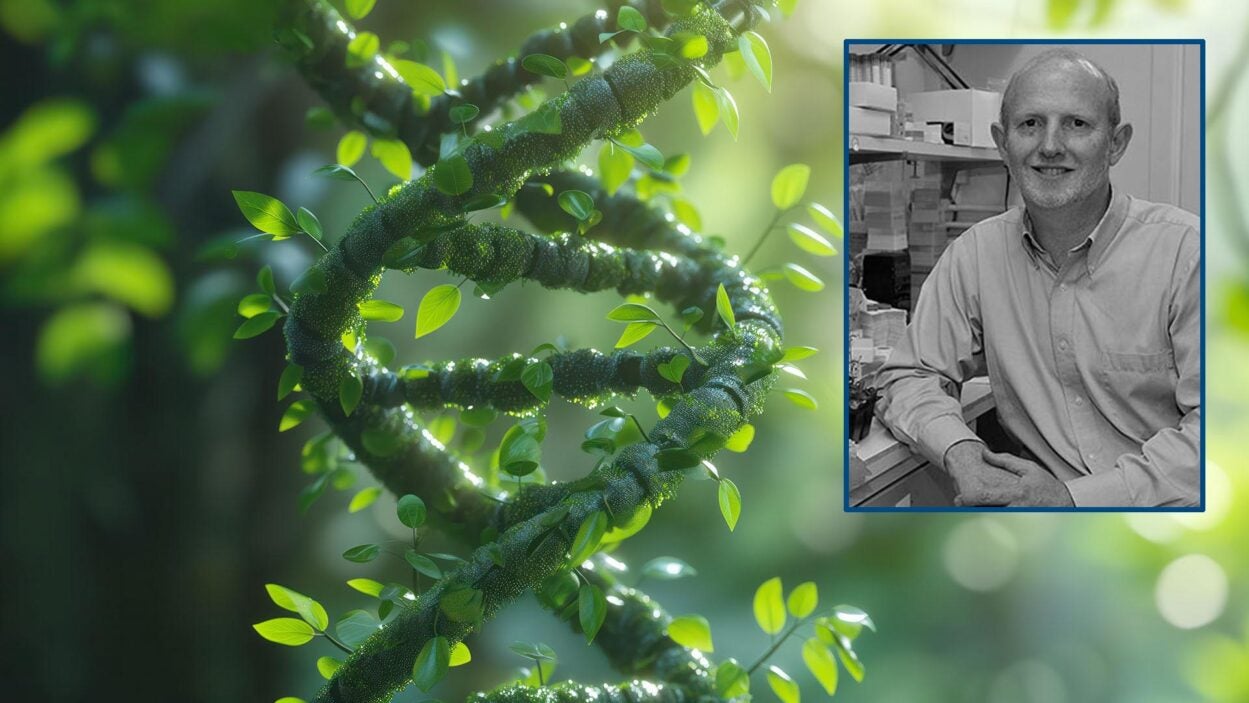 image of Rob Martienssen overlaid on a DNA strand made from plant stems and leaves