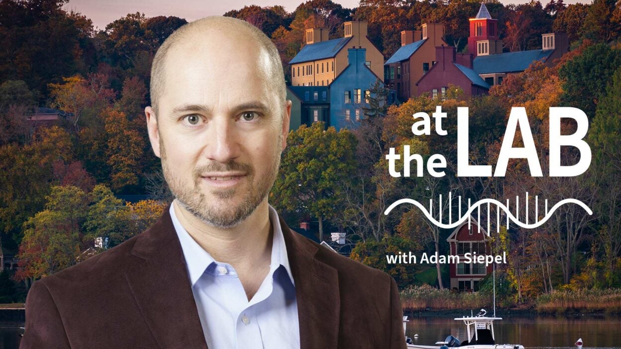 image of Cold Spring Harbor campus from across the harbor with At the Lab podcast logo and portrait of Adam Siepel