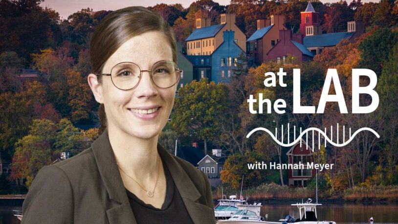 image of Cold Spring Harbor campus from across the harbor with At the Lab podcast logo and portrait of Hannah Meyer