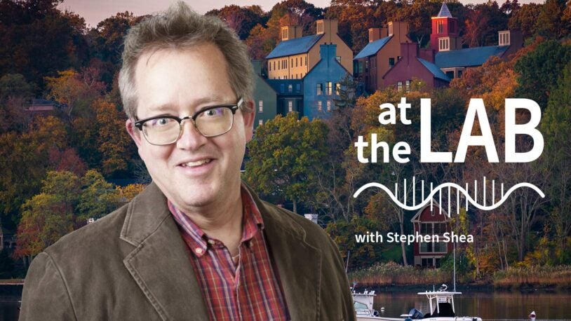 image of Cold Spring Harbor campus from across the harbor with At the Lab podcast logo and portrait of Stephen Shea