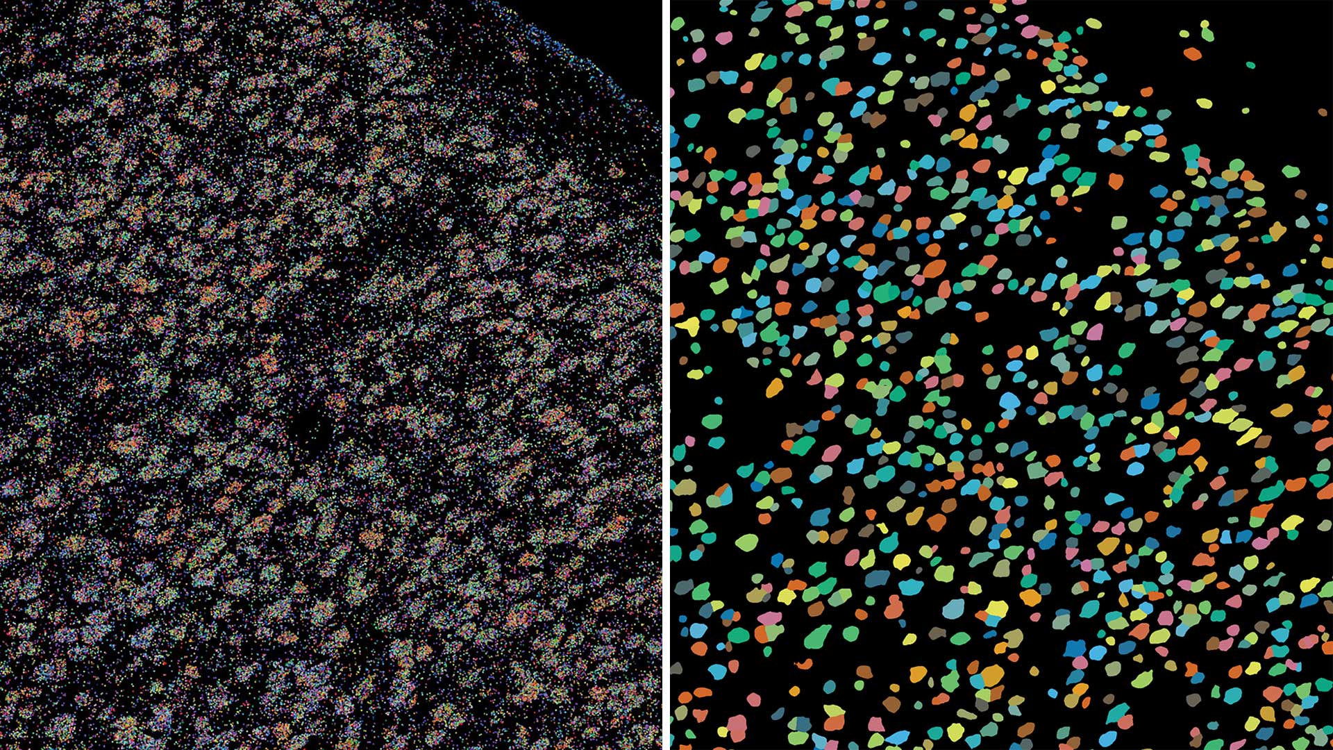 image of BARseq gene clusters side by side