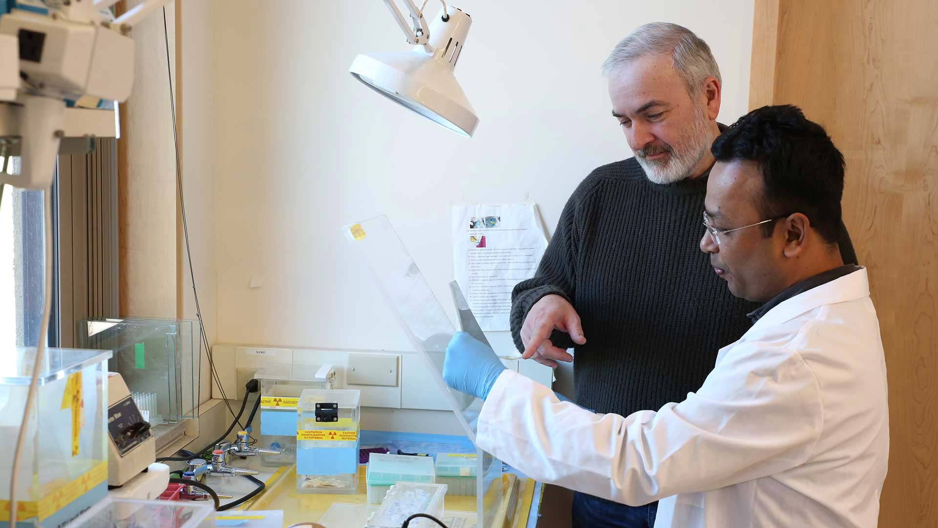 image of Adrian Krainer working in his lab