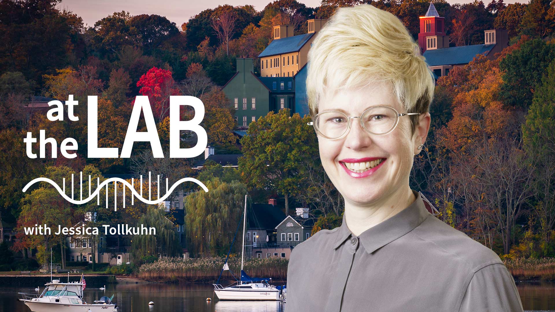 image of Cold Spring Harbor campus from across the harbor with At the Lab podcast logo and portrait of Jessica Tollkuhn