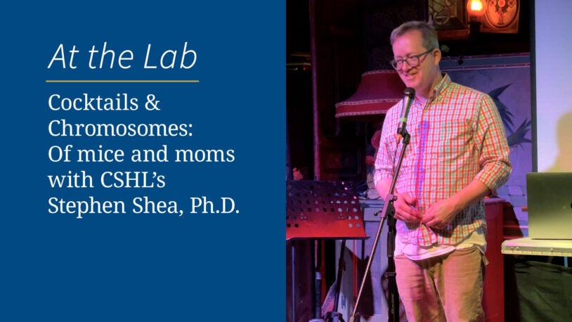 <em>Cocktails & Chromosomes</em>: Of mice and moms