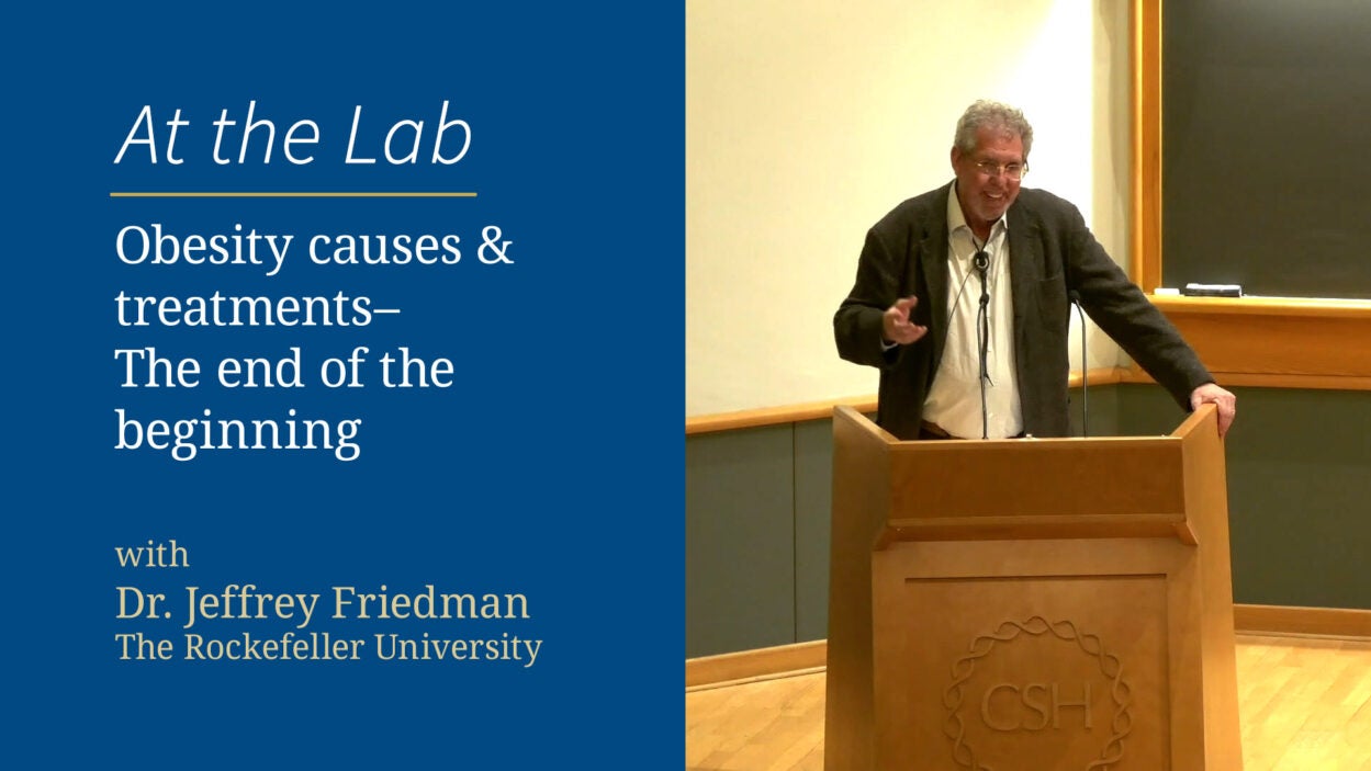image of slide for Friedman video