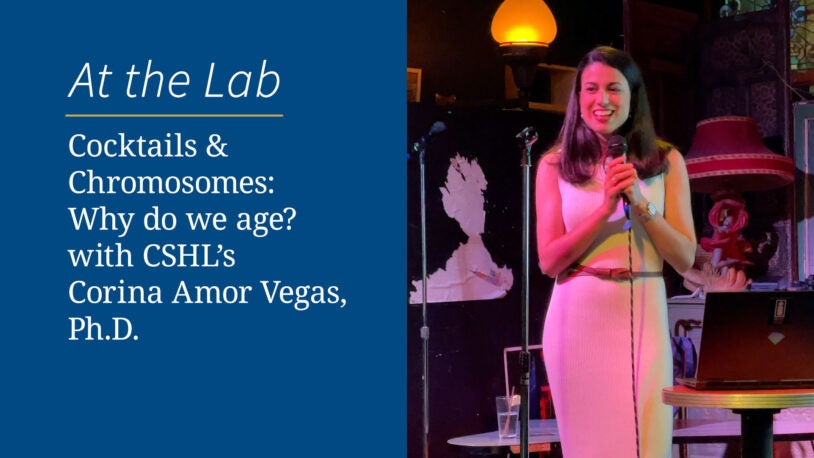 <em>Cocktails & Chromosomes</em>: Why do we age?