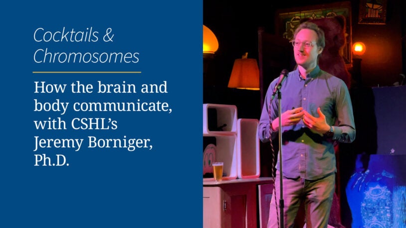 <em>Cocktails & Chromosomes</em>: How the brain and body communicate