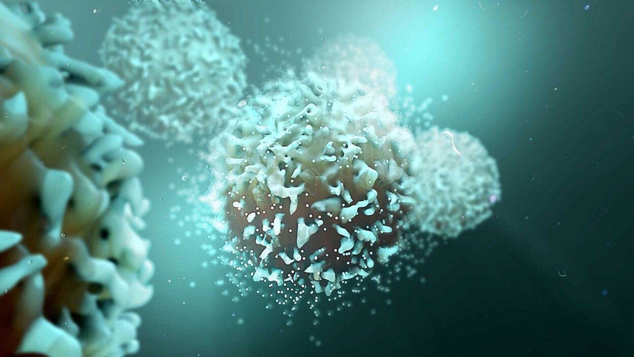 image of T cells