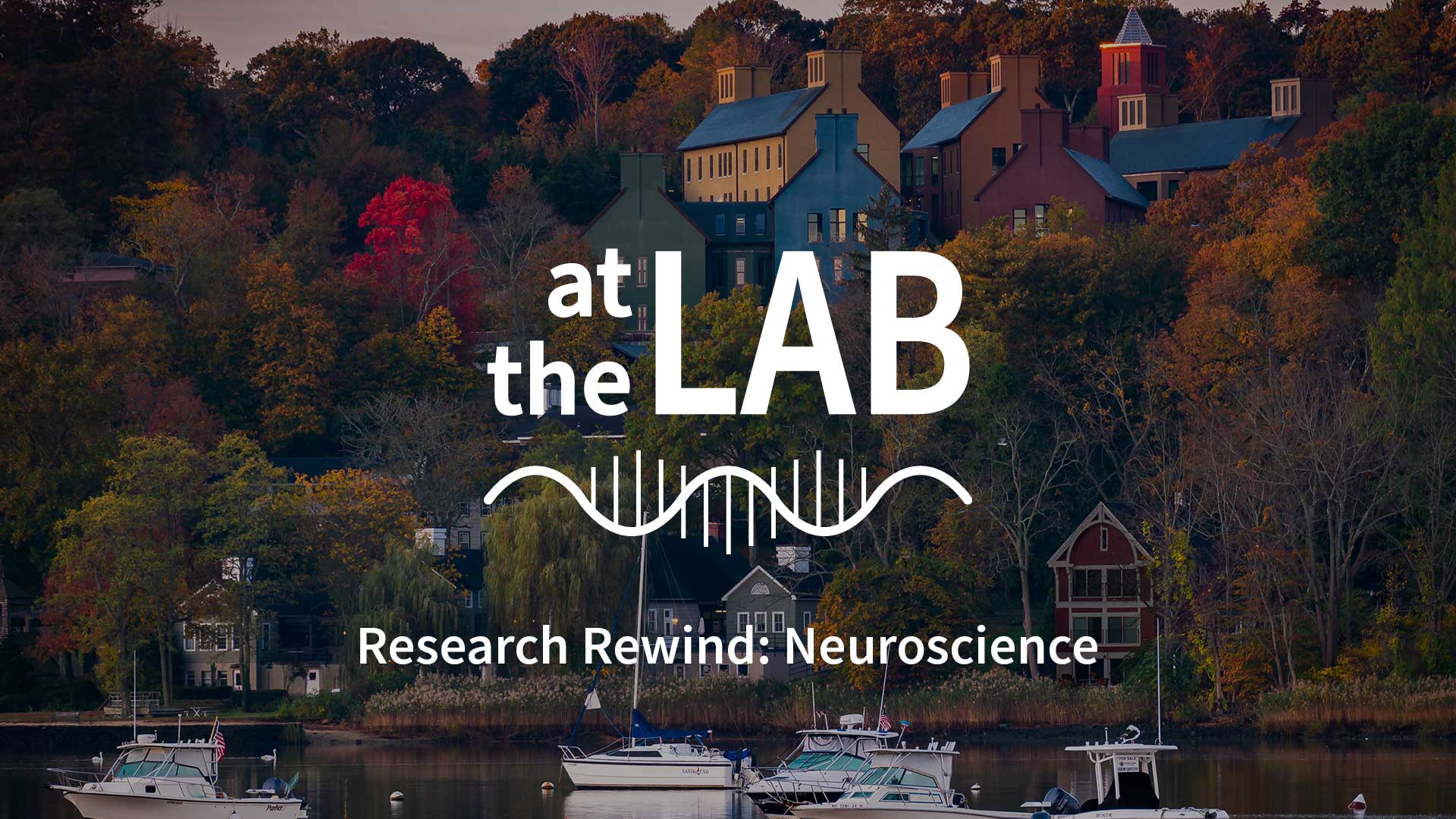 image of Cold Spring Harbor campus from across the harbor with At the Lab podcast logo