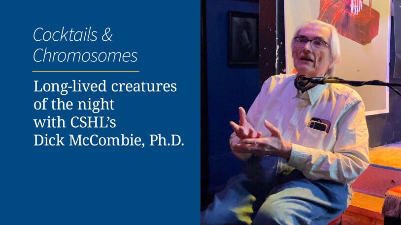 <em>Cocktails & Chromosomes</em>: Long-lived creatures of the night