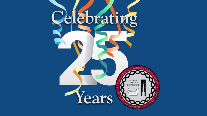 image of SBS 25 years celebration