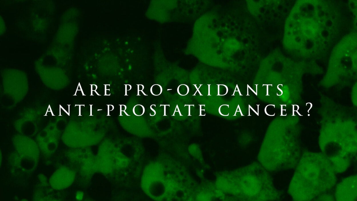image of video slide for pro-oxidants video